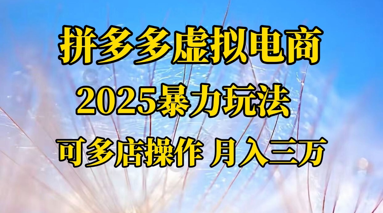 拼多多虚拟电商，不囤货不垫资的虚拟电商-创想网