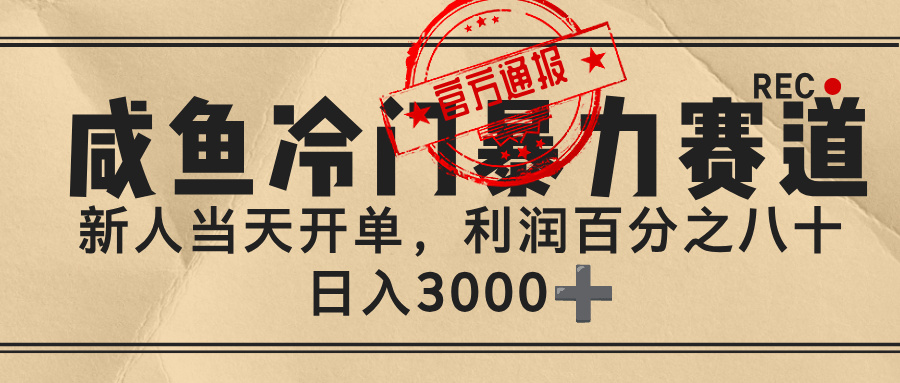 闲鱼，冷门暴力赛道，一单 80%利润，新人轻松日入 3000+-创想网