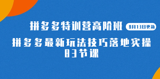 2023拼多多·特训营高阶班【9月13日更新】拼多多最新玩法技巧落地实操-83节-创想网