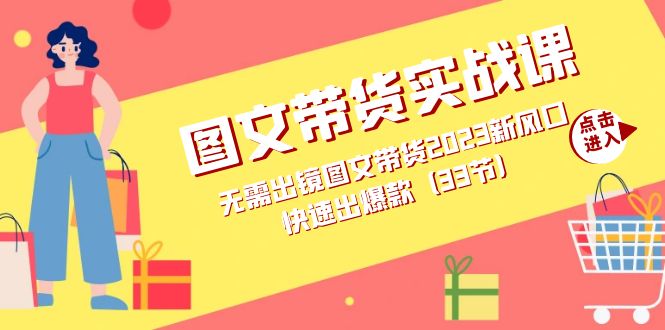 图文带货实战课：无需出镜图文带货2023新风口，快速出爆款（33节）-创想网