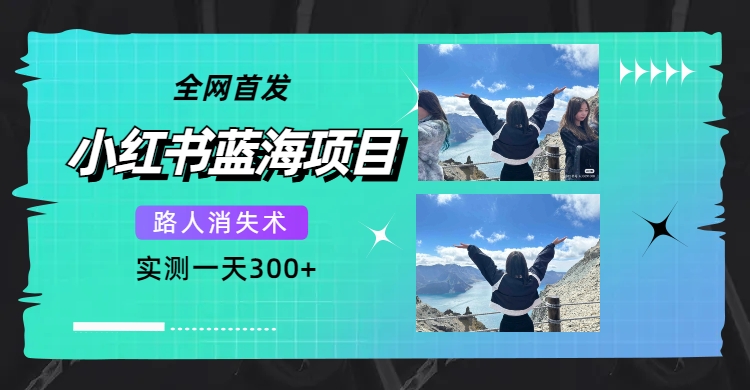 全网首发，小红书蓝海项目，路人消失术，实测一天300 （教程 工具）-创想网