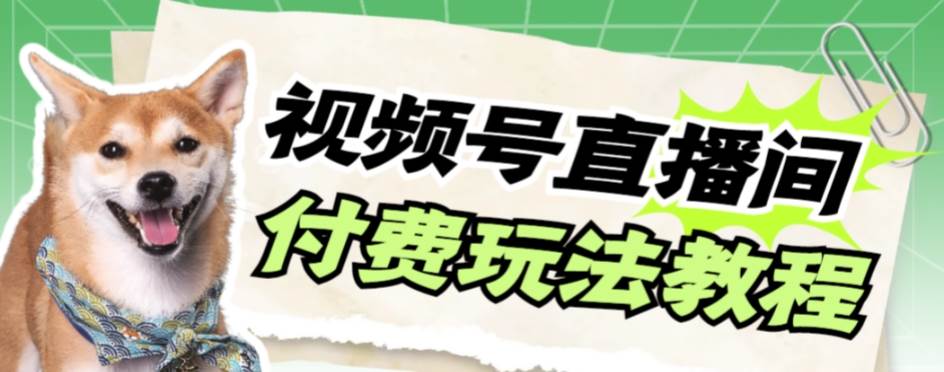 视频号美女付费无人直播，轻松日入500 【详细玩-创想网