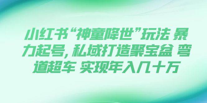 小红书“神童降世”玩法 暴力起号,私域打造聚宝盆 弯道超车 实现年入几十万-创想网
