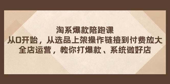 淘系爆款陪跑课 从选品上架操作链接到付费放大 全店运营 打爆款 系统做好店-创想网