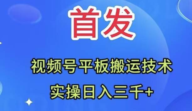 全网首发：视频号平板搬运技术，实操日入三千＋-创想网