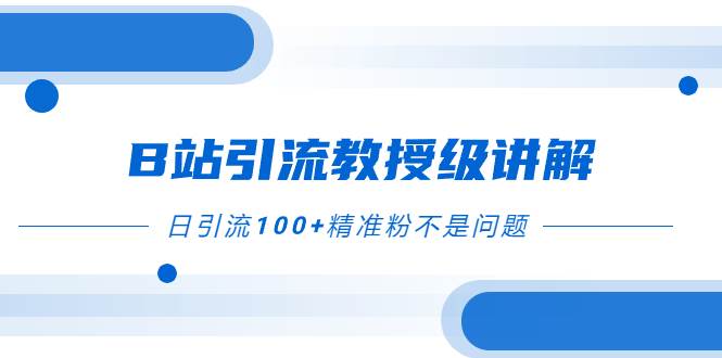 B站引流教授级讲解，细节满满，日引流100 精准粉不是问题-创想网