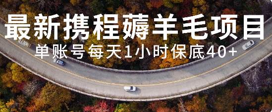 最新携程薅羊毛项目，单账号每天1小时保底收益40 ，可矩阵操作-创想网