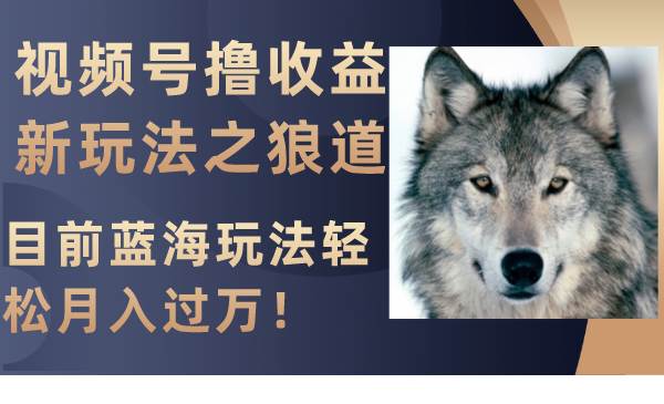 视频号撸收益新玩法之狼道，目前蓝海玩法轻松月入过万！-创想网
