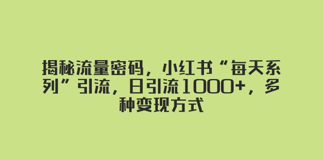 揭秘流量密码，小红书“每天系列”引流，日引流1000 ，多种变现方式-创想网