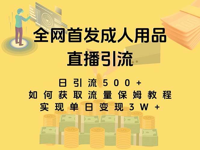 最新全网独创首发，成人用品直播引流获客暴力玩法，单日变现3w保姆级教程-创想网