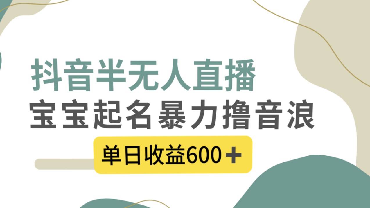抖音半无人直播，宝宝起名，暴力撸音浪，单日收益600-创想网