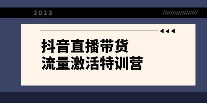 抖音直播带货-流量激活特训营，入行新手小白主播必学（21节课 资料）-创想网