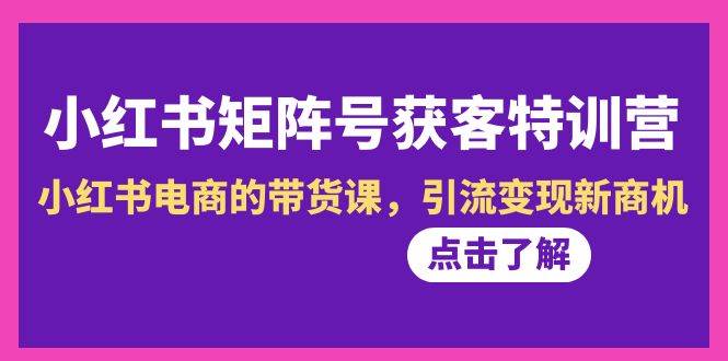 小红书-矩阵号获客特训营-第10期，小红书电商的带货课，引流变现新商机-创想网