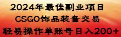 2024年最佳副业项目 CSGO饰品装备交易 轻易操作单账号日入200+-创想网