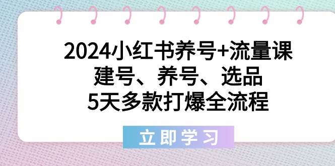 2024小红书养号+流量课：建号、养号、选品，5天多款打爆全流程-创想网