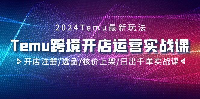 2024Temu跨境开店运营实战课，开店注册/选品/核价上架/日出千单实战课-创想网