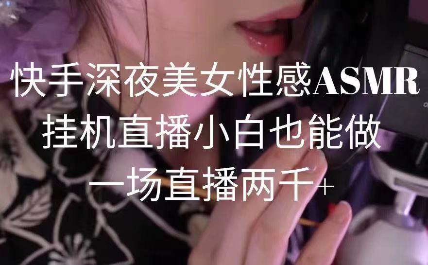 快手深夜美女性感ASMR挂机直播，小白也能做，一场直播两千+-创想网