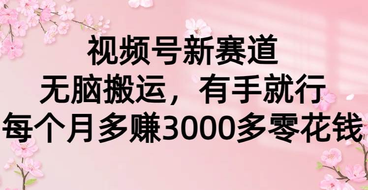 视频号新赛道，无脑搬运，有手就行，每个月多赚3000多零花钱-创想网