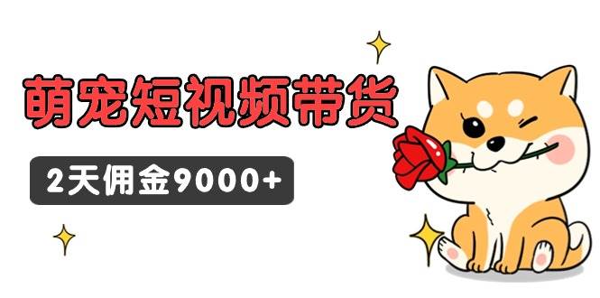 东哲日记·萌宠短视频带货，2天佣金9000+-创想网