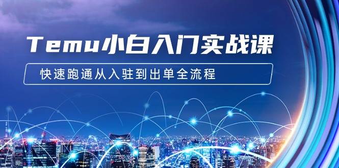 Temu小白入门实战课：跨境拼多多电商培训 快速跑通从入驻到出单全流程-12节-创想网