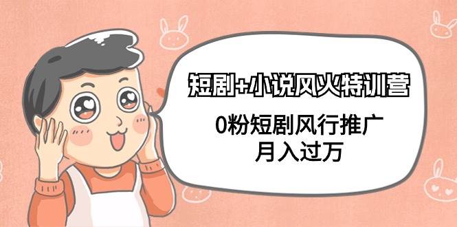 短剧+小说风火特训营，0粉短剧风行推广，月入过万（102节课）-创想网