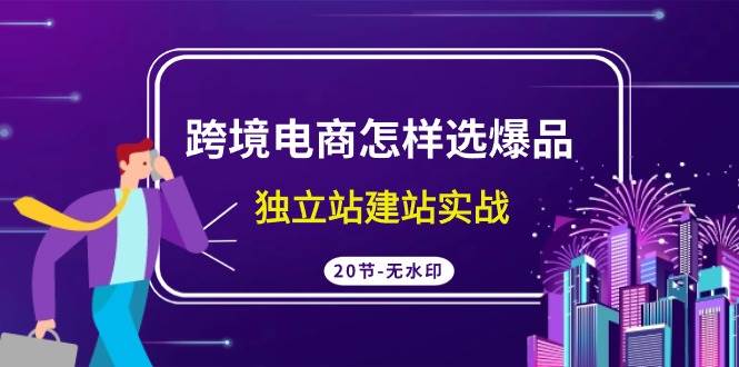 跨境电商怎样选爆品，独立站建站实战（20节高清无水印课）-创想网