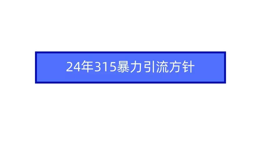 2024年315暴力引流方针-创想网