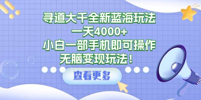 寻道大千全新蓝海玩法，一天4000+，小白一部手机即可操作，无脑变现玩法！-创想网