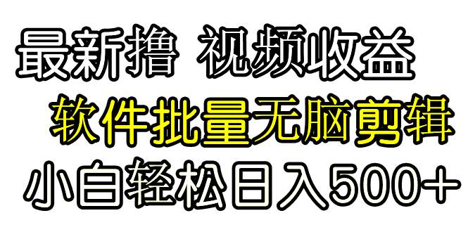 发视频撸收益，软件无脑批量剪辑，第一天发第二天就有钱-创想网