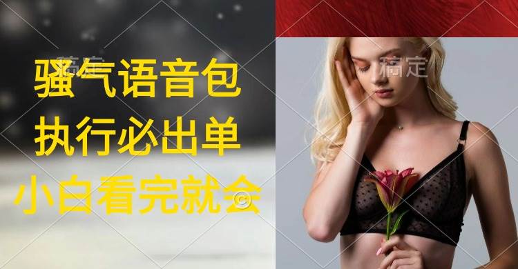 执行就出单，日入2000+，超火骚气语音包，小白看完课程就能马上实操-创想网