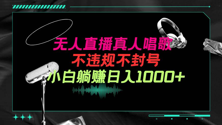 抖音24小时无人直播音乐，不违规，不封号纯撸音浪，小白实操当天日入1000+-创想网