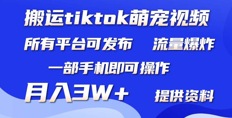 搬运Tiktok萌宠类视频，一部手机即可。所有短视频平台均可操作，月入3W+-创想网