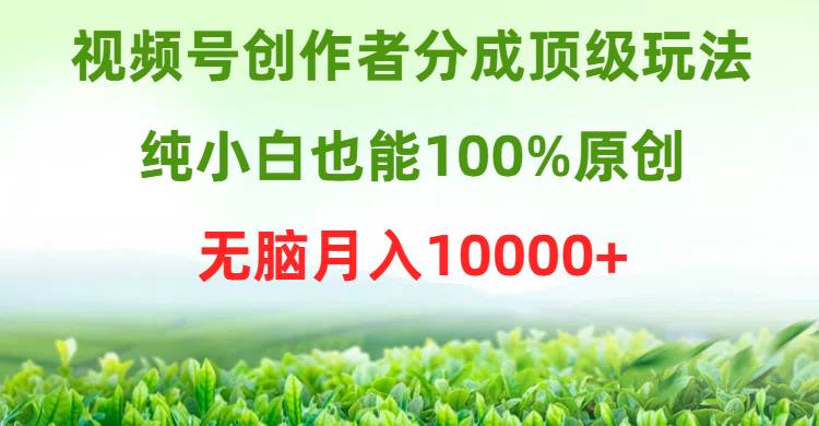 视频号创作者分成顶级玩法，纯小白也能100%原创，无脑月入10000+-创想网