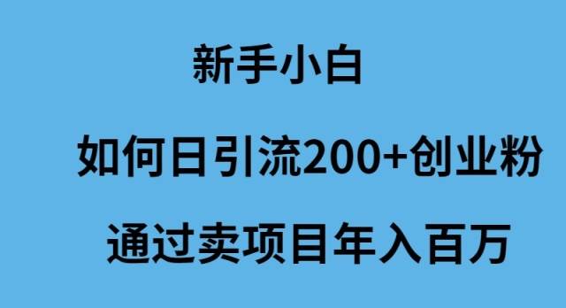 新手小白如何日引流200+创业粉通过卖项目年入百万-创想网