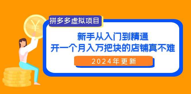 拼多多虚拟项目：入门到精通，开一个月入万把块的店铺 真不难（24年更新）-创想网