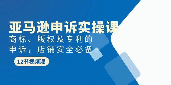 亚马逊-申诉实战课，商标、版权及专利的申诉，店铺安全必备-创想网
