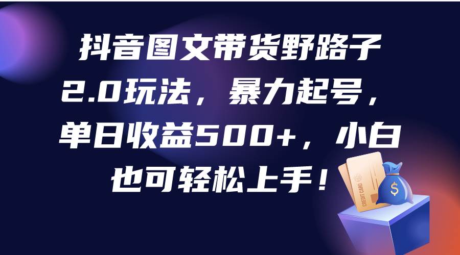 抖音图文带货野路子2.0玩法，暴力起号，单日收益500+，小白也可轻松上手！-创想网