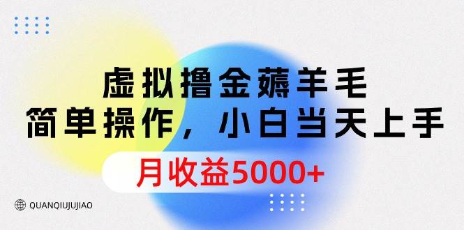 虚拟撸金薅羊毛，简单操作，小白当天上手，月收益5000+-创想网