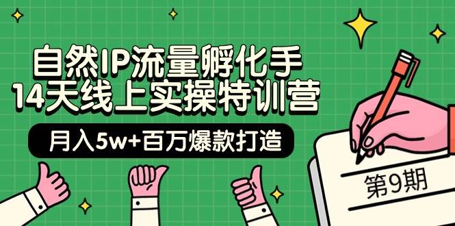 自然IP流量孵化手 14天线上实操特训营【第9期】月入5w+百万爆款打造 (74节)-创想网
