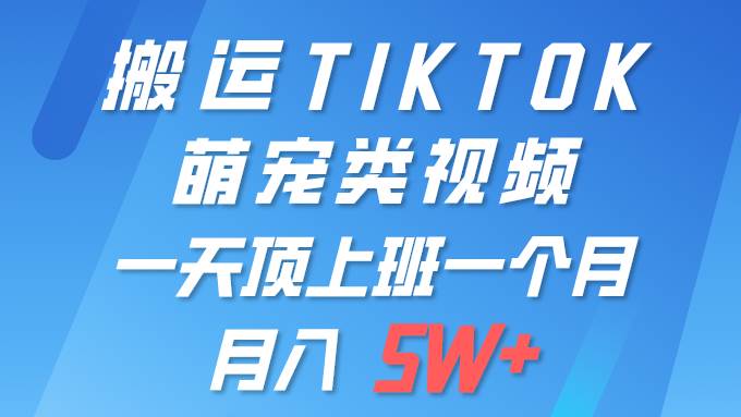 一键搬运TIKTOK萌宠类视频 一部手机即可操作 所有平台均可发布 轻松月入5W+-创想网