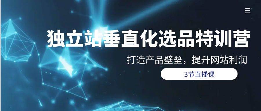 独立站-垂直化选品训练营，打造产品壁垒，提升网站利润（3节直播课）-创想网