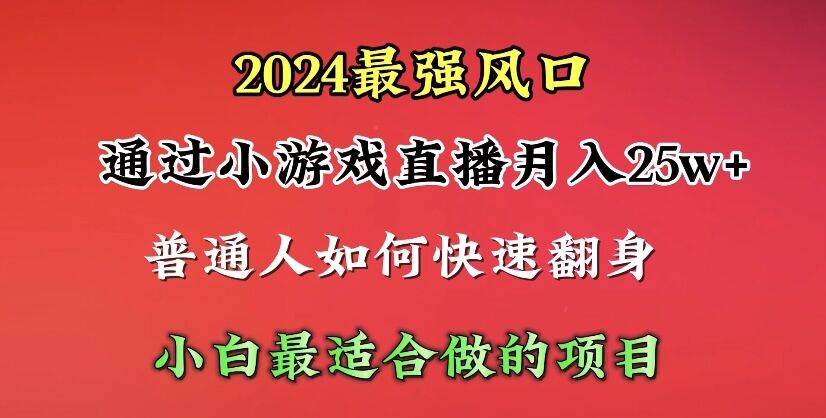 2024年最强风口，通过小游戏直播月入25w+单日收益5000+小白最适合做的项目-创想网
