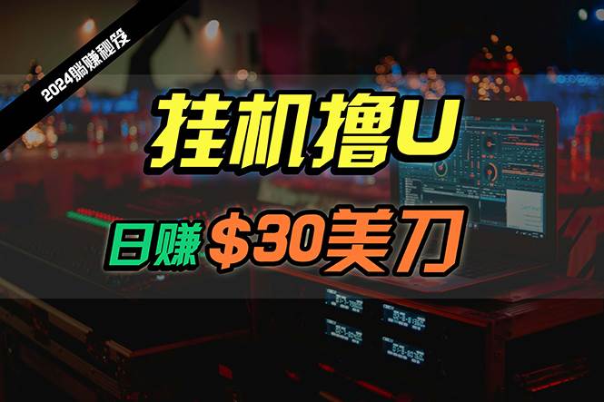 日赚30美刀，2024最新海外挂机撸U内部项目，全程无人值守，可批量放大-创想网