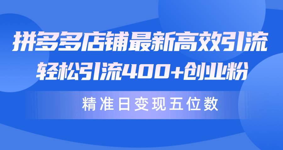 拼多多店铺最新高效引流术，轻松引流400+创业粉，精准日变现五位数！-创想网