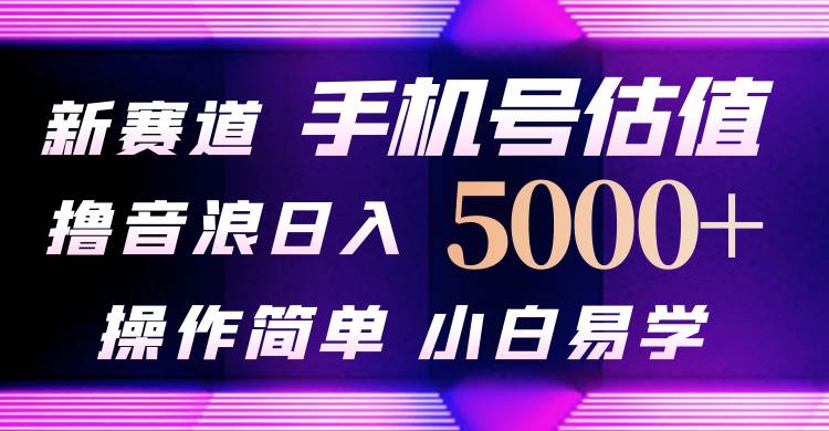 抖音不出境直播【手机号估值】最新撸音浪，日入5000+，简单易学，适合…-创想网
