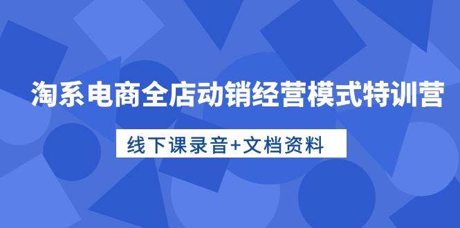 淘系电商全店动销经营模式特训营，线下课录音+文档资料-创想网