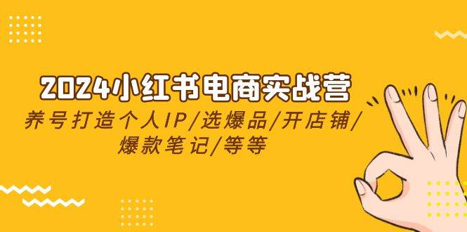 2024小红书电商实战营，养号打造IP/选爆品/开店铺/爆款笔记/等等（24节）-创想网