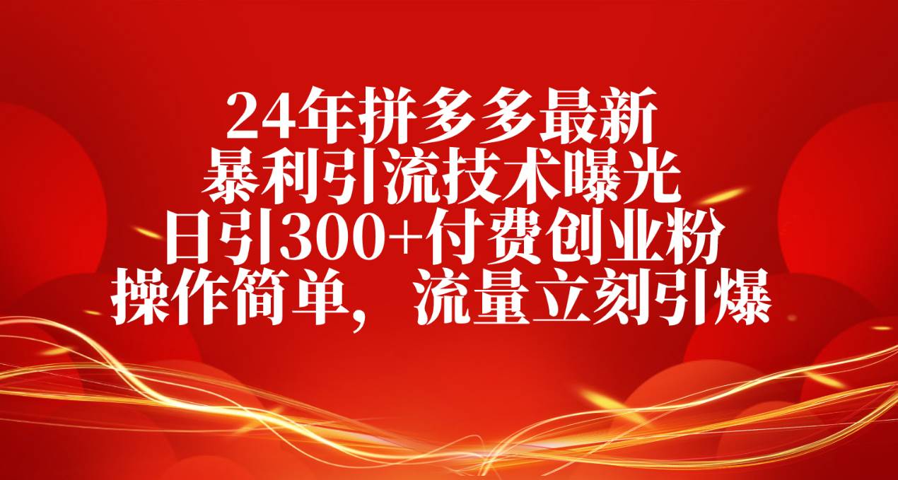 24年拼多多最新暴利引流技术曝光，日引300+付费创业粉，操作简单，流量…-创想网