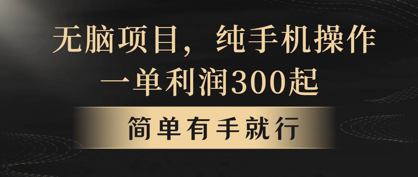 无脑项目，一单几百块，轻松月入5w+，看完就能直接操作-创想网