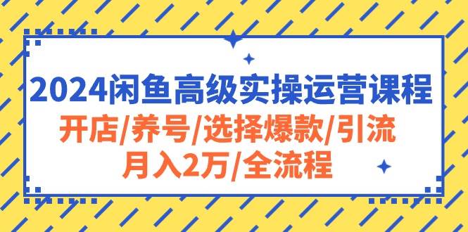 2024闲鱼高级实操运营课程：开店/养号/选择爆款/引流/月入2万/全流程-创想网